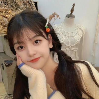 中国人的流浪记